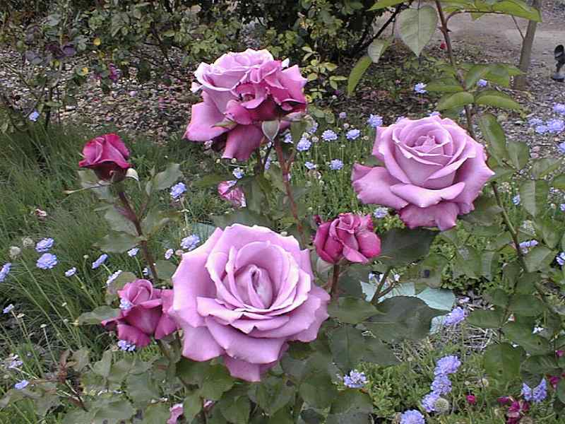 UNKNOWN3.JPG