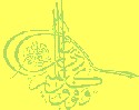 aleem