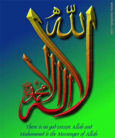 card8