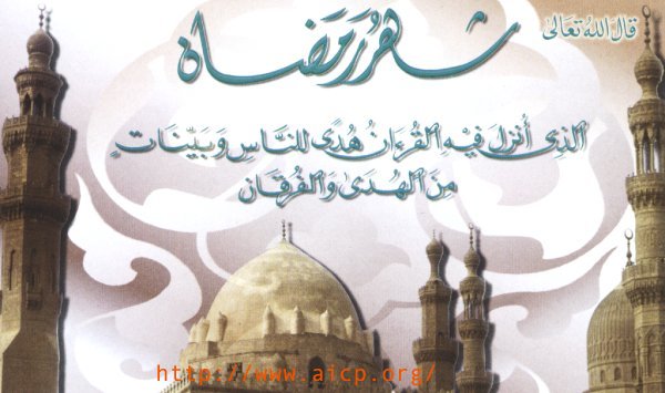 aqwal 004